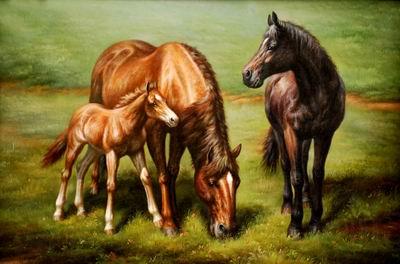 unknow artist Horses 038 France oil painting art